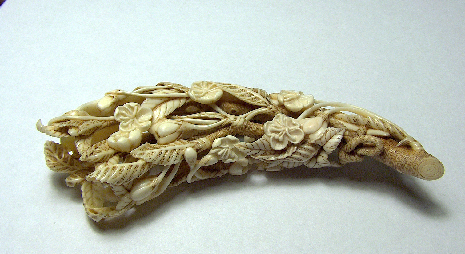 Blossoming Cherry Branch 012